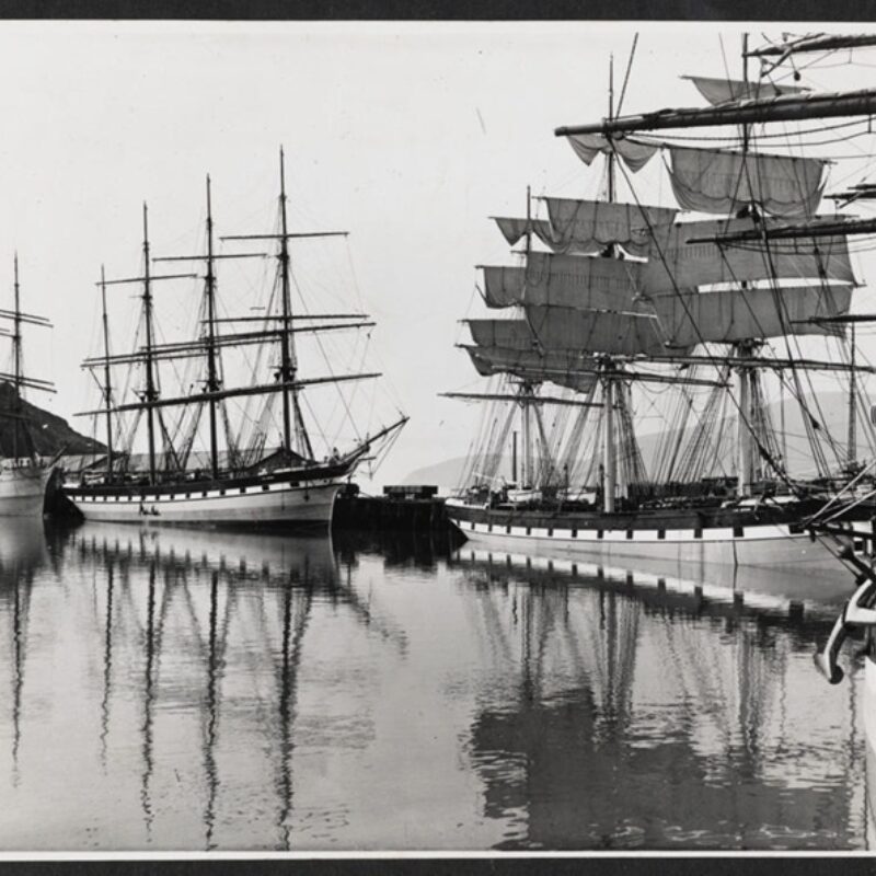 TŪTLM Rebuild Campain Live1