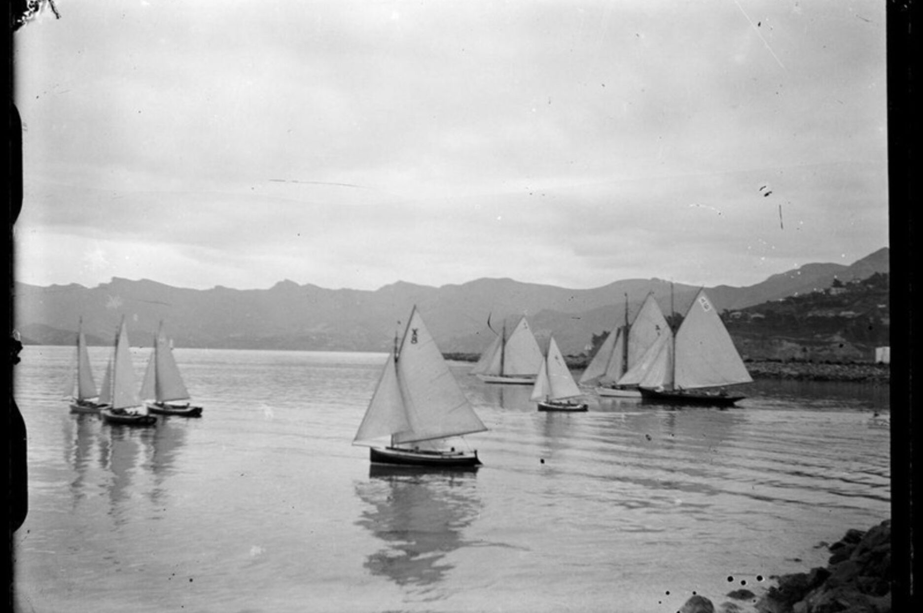 Yachts in harbour