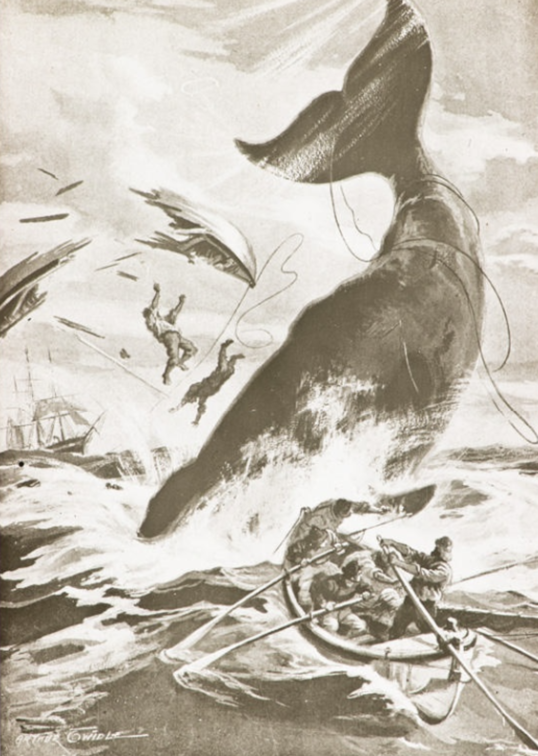 Whaling Object 7353 1 cropped