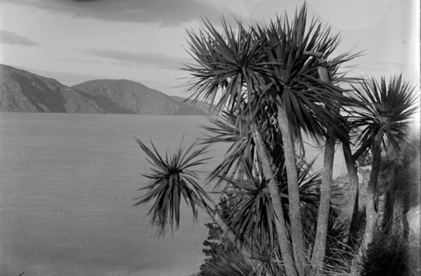 Whenua